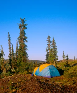 Photo © Wayne Lynch, Parks Canada