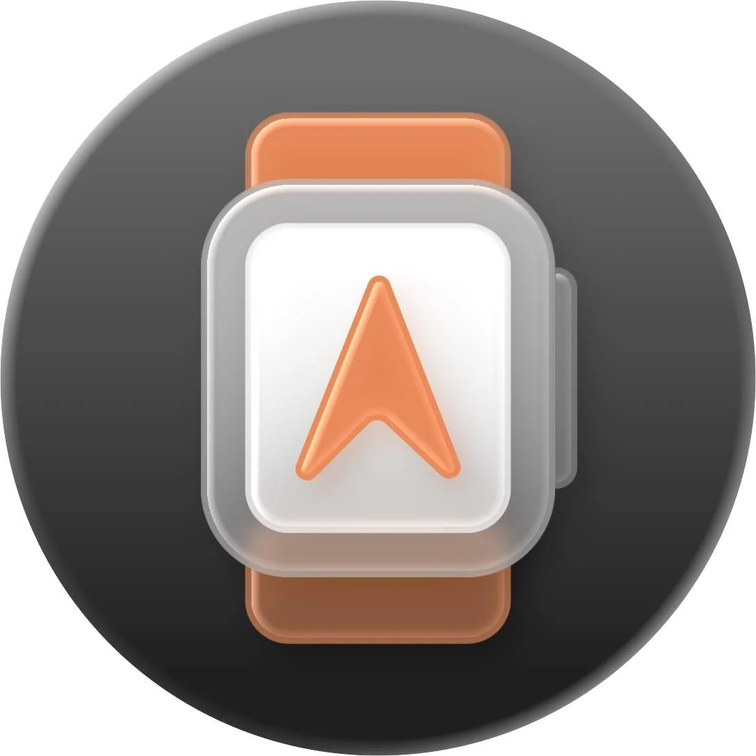 WristTopo Hits Version 4