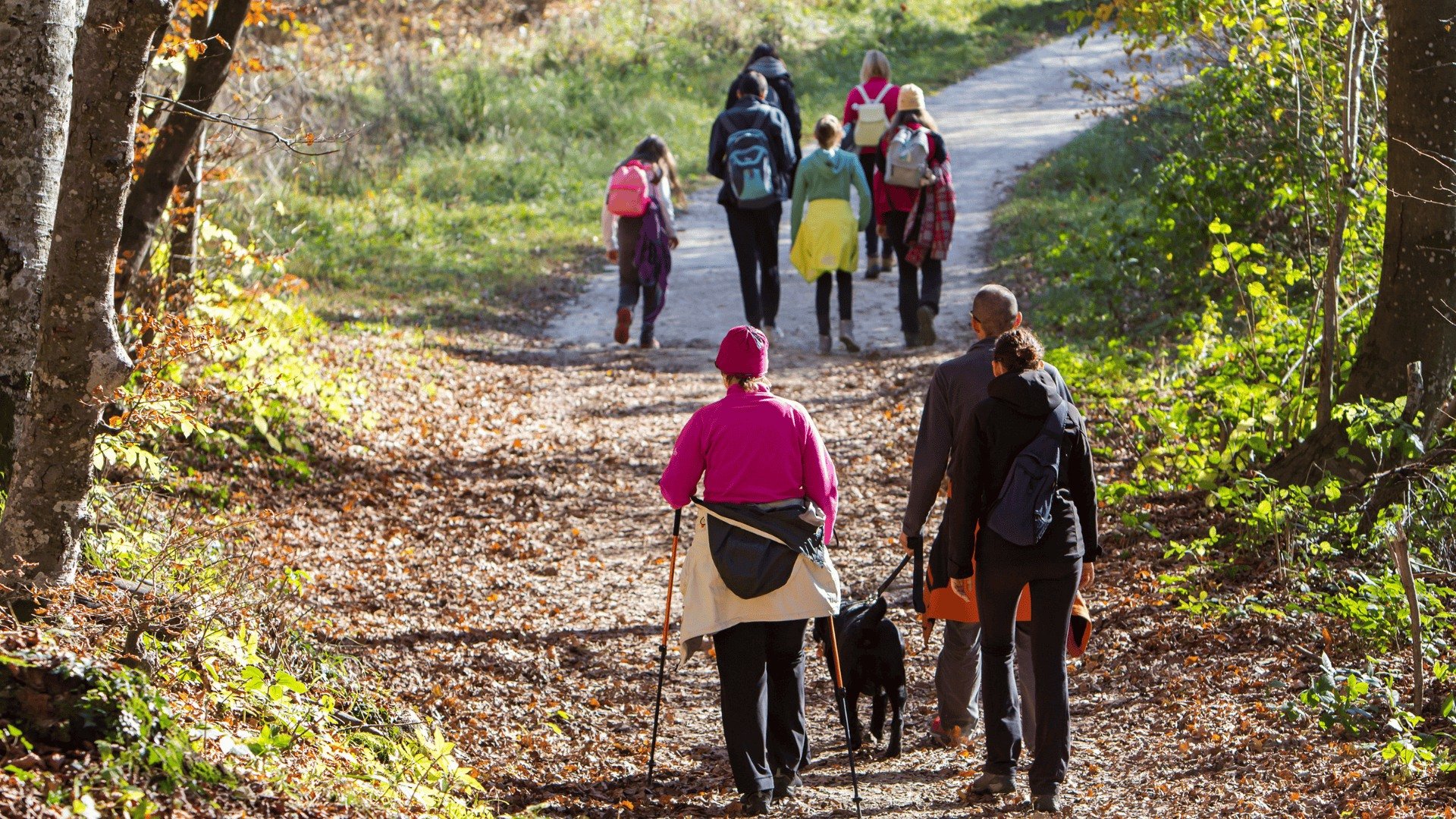 BC Parks Foundation Partners With AllTrails