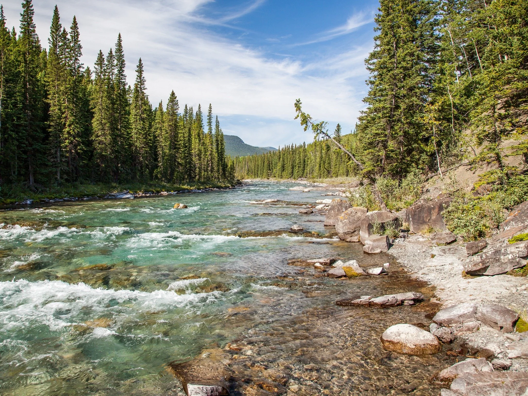 Alberta Parks' Camping Reservations Highest Since 2021