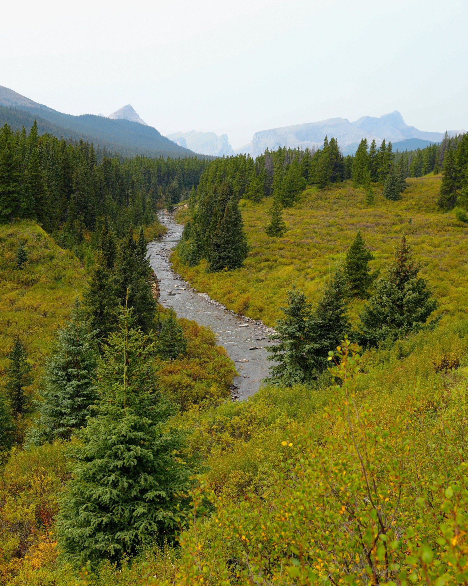 Alberta Parks Sees The Highest Level Of Campers Since 2021
