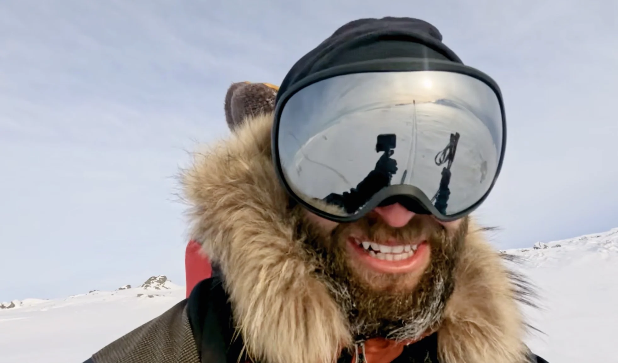 Northern Scavenger: 140km In The Arctic-Like Barrens Of Newfoundland