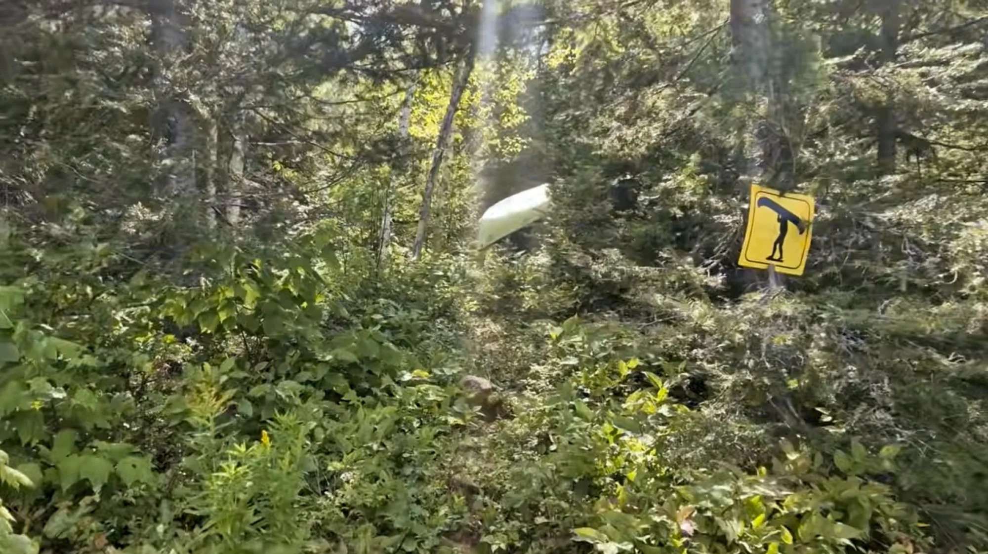 Watch: Northern Ontario's Forgotten Canoe Route In Remote Wilderness