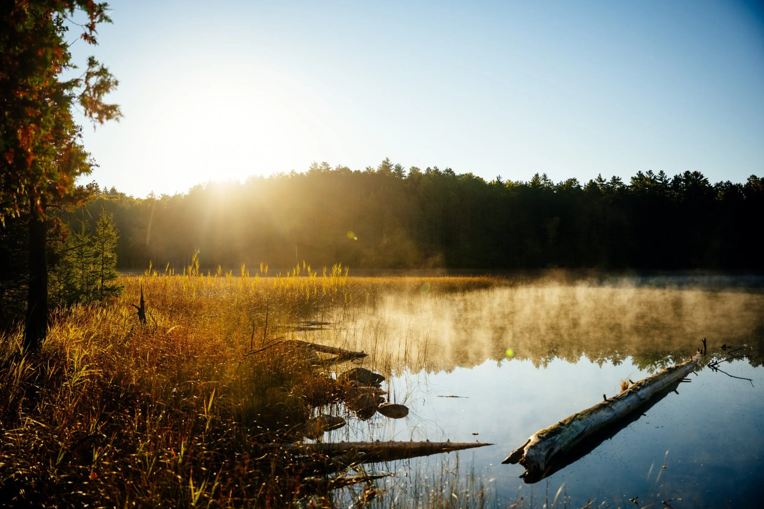 Land’escapes Adds Day Hiking Memberships