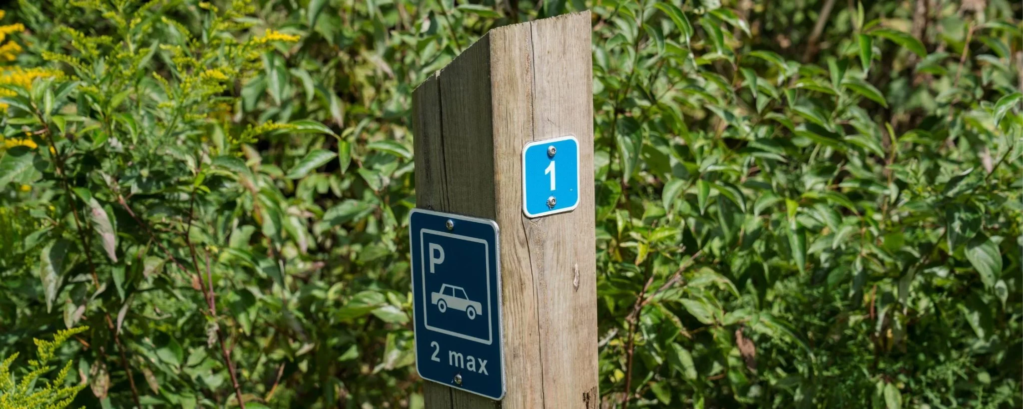 Ontario Adds New Campsites To MacGregor Point, Killarney And Driftwood 