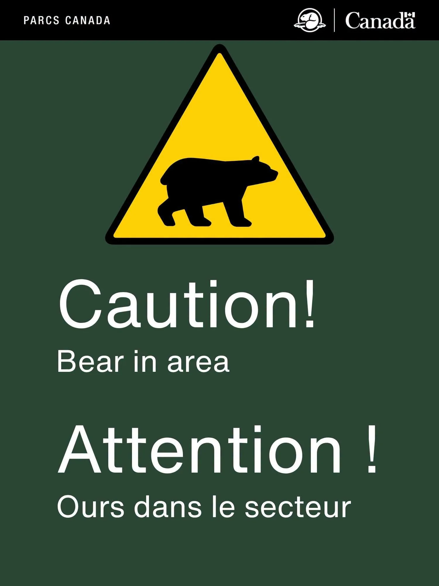 Cyprus Lake Campground Closed Due To Bear Activity