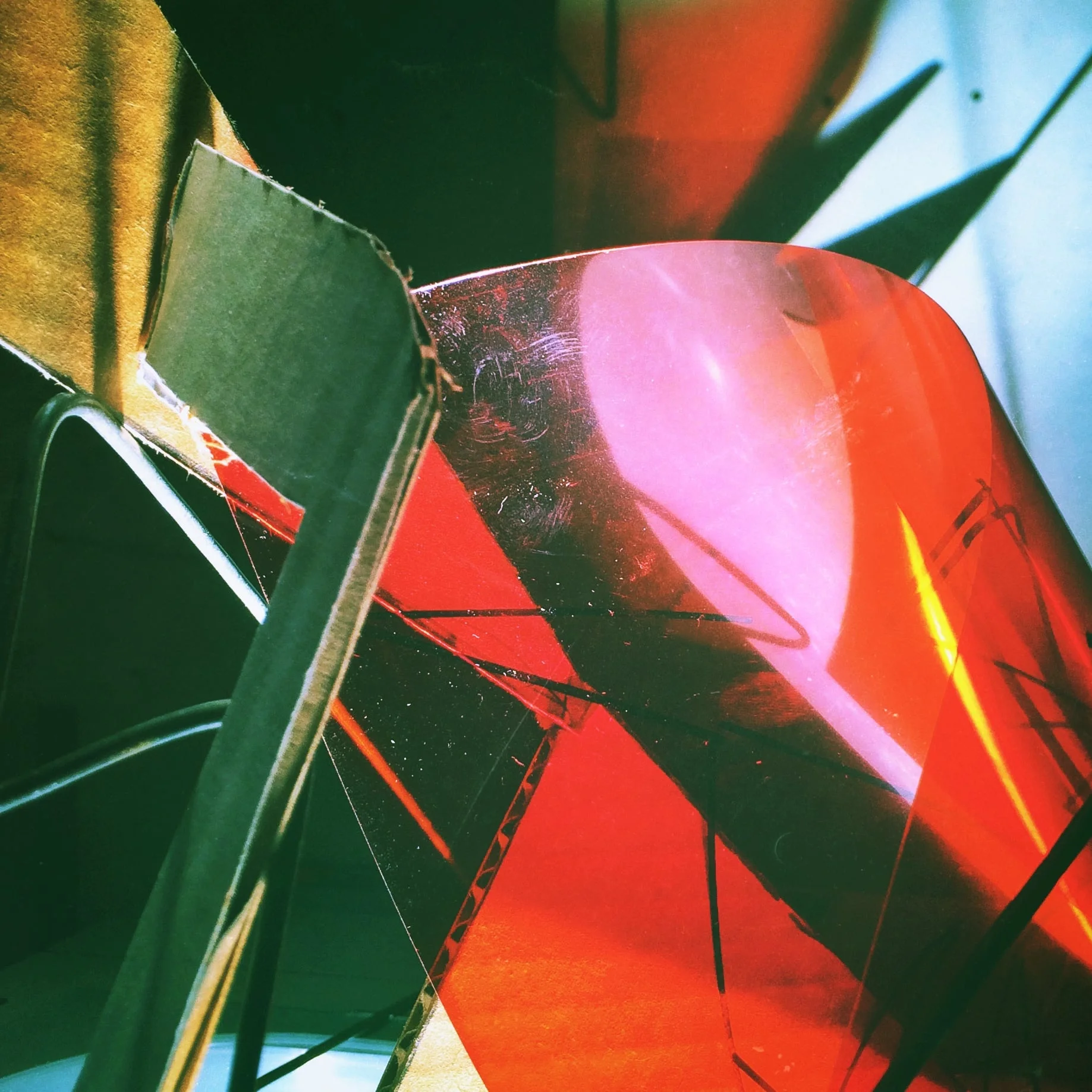 A Bird's Detailed Arena