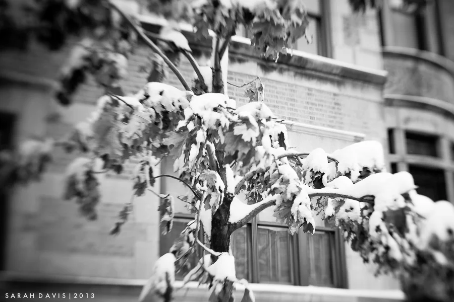 untitled-1-3.jpg