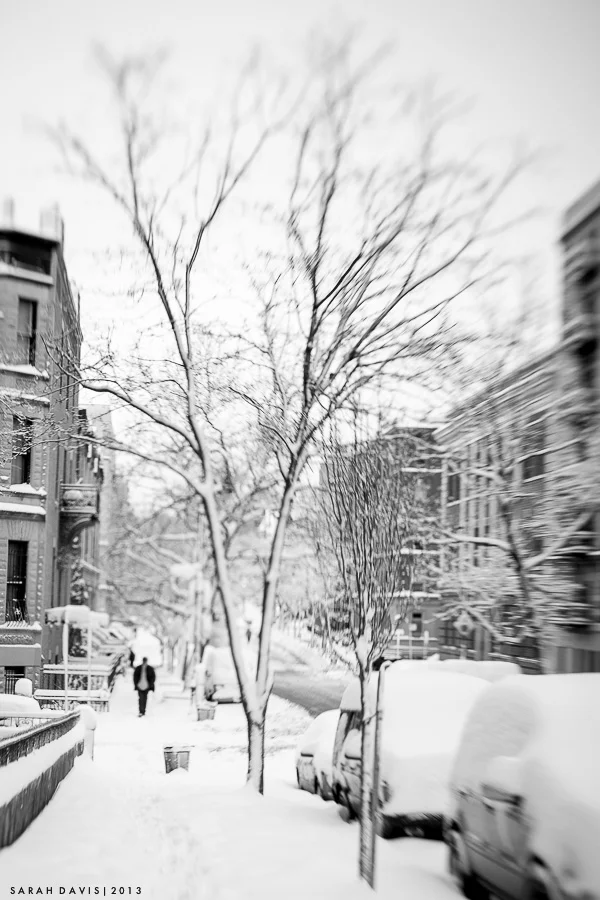 untitled-1-3.jpg
