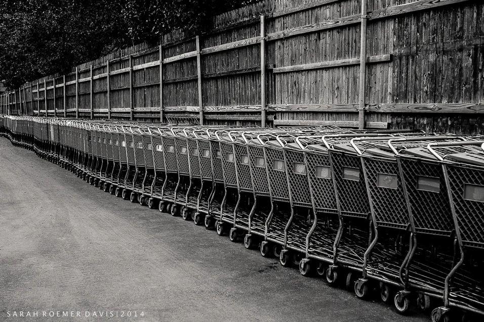 Day One | Shopping carts