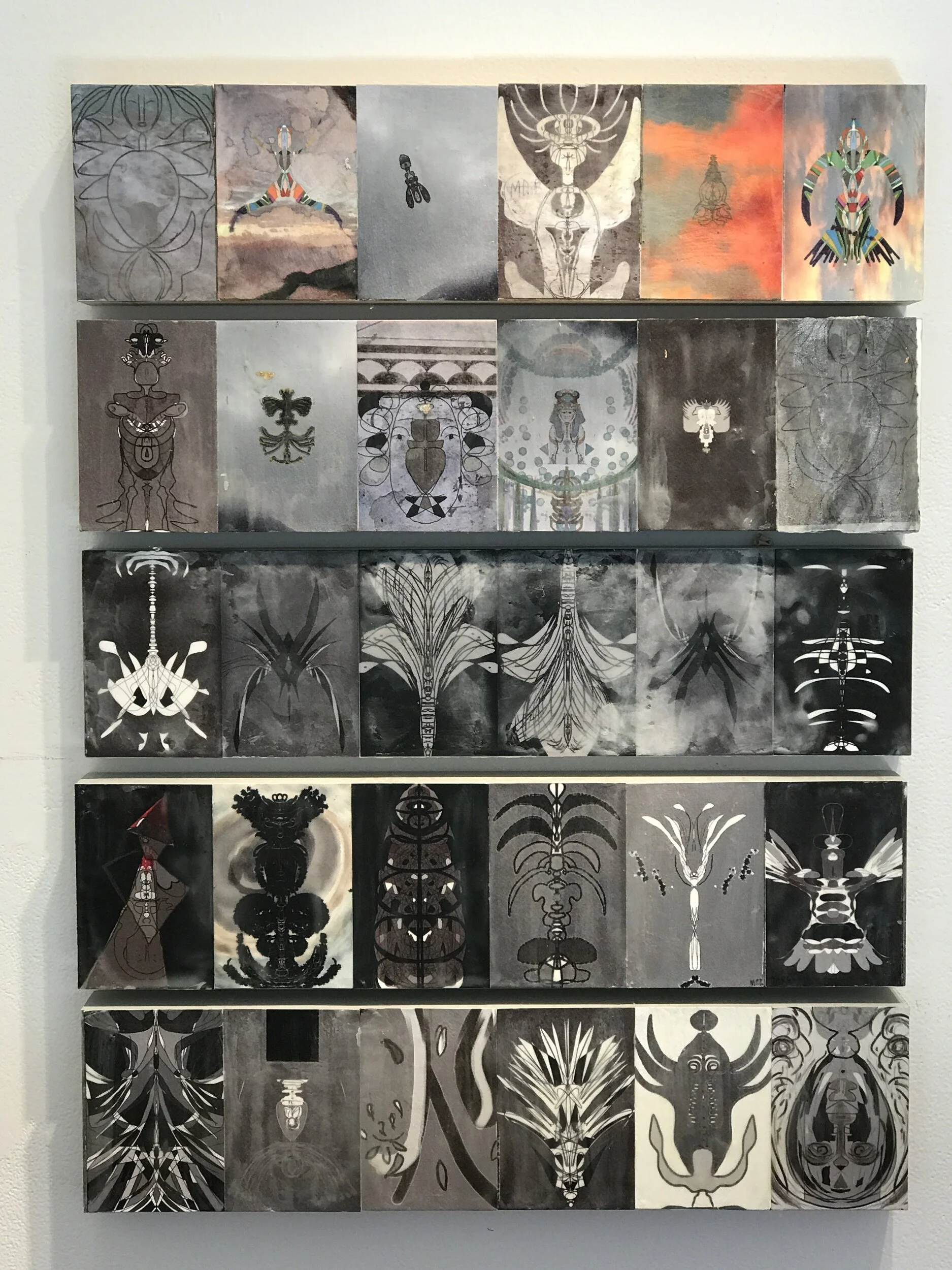 " The Jaguar King " series