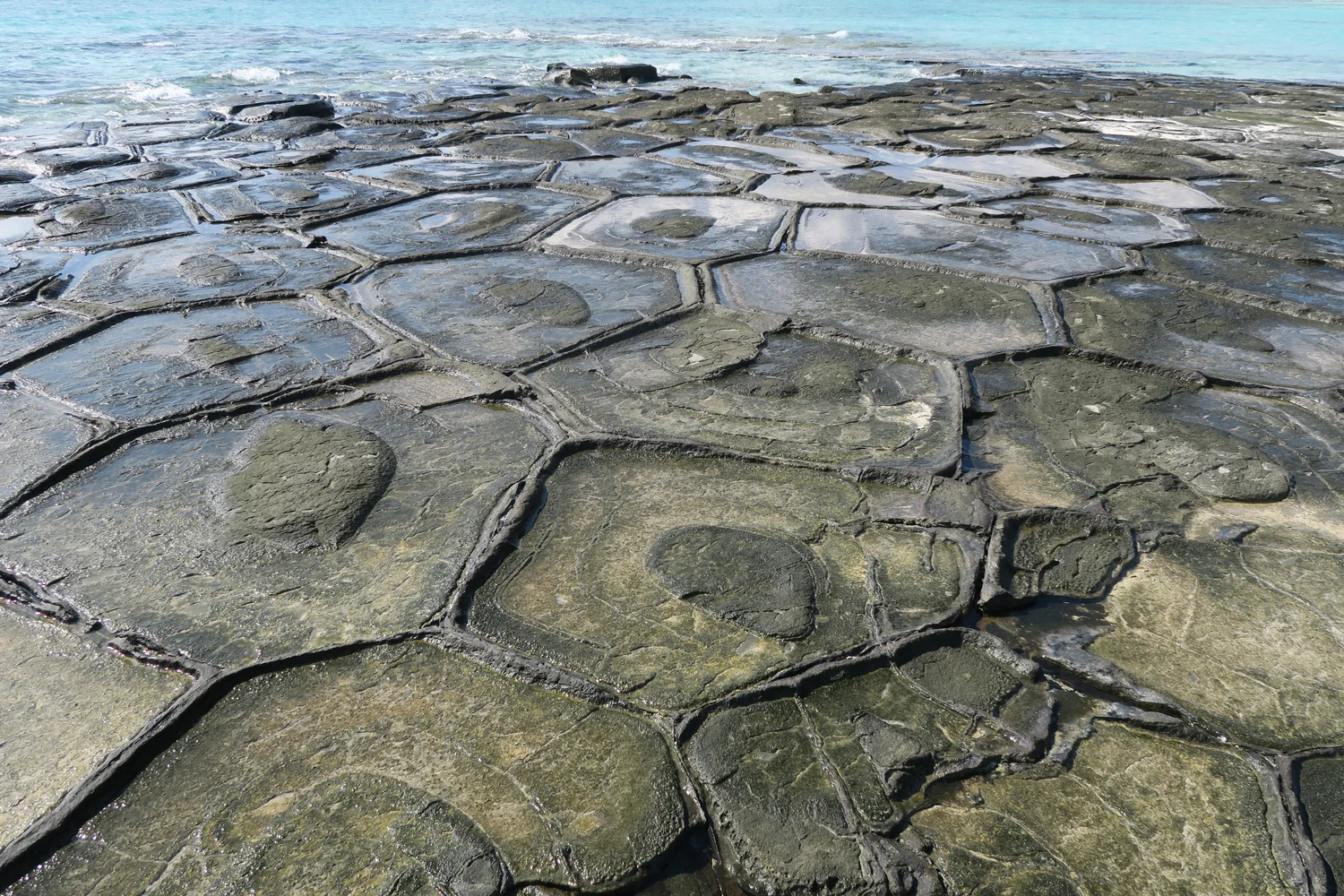 Tatami-ishi 畳石 (Tatami-Rocks)