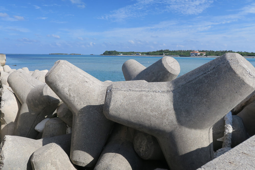 Tetrapods