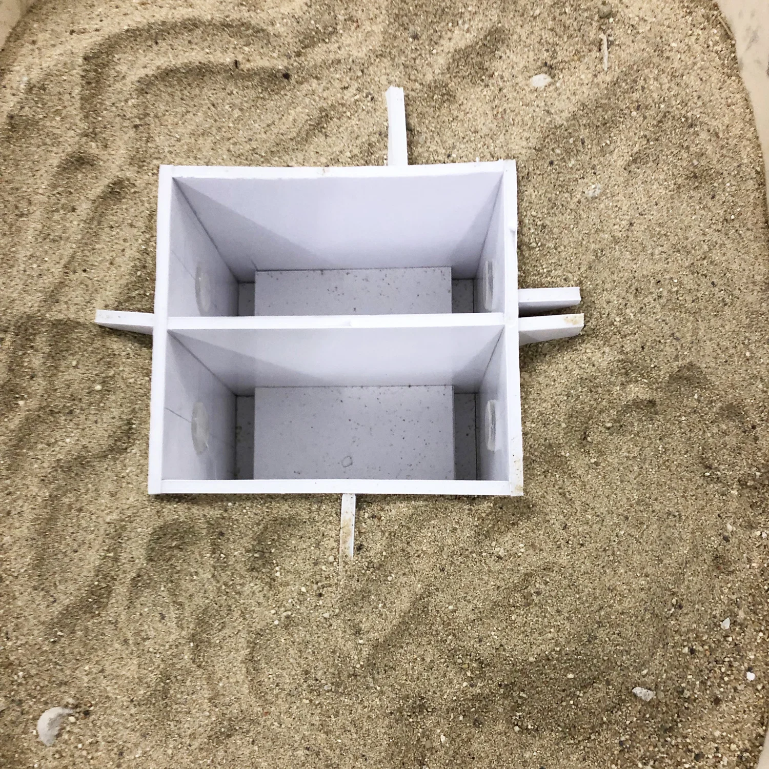 Concrete-Cat-02.jpg