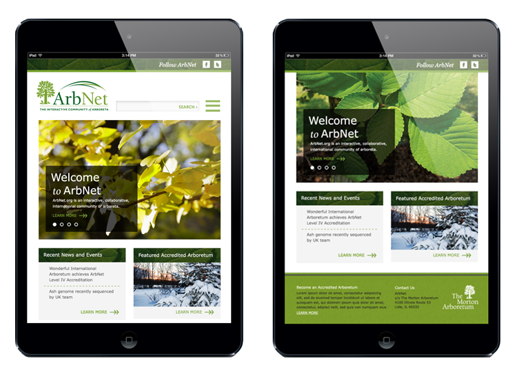 14_iPad_Comps-NEW.png