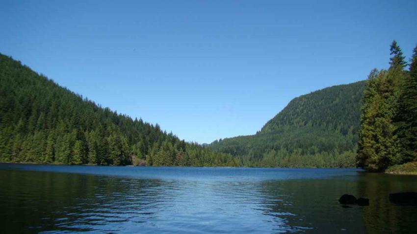 loonlake1.jpg-lake-.jpg