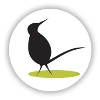 curiousbird_greenbadge.jpg