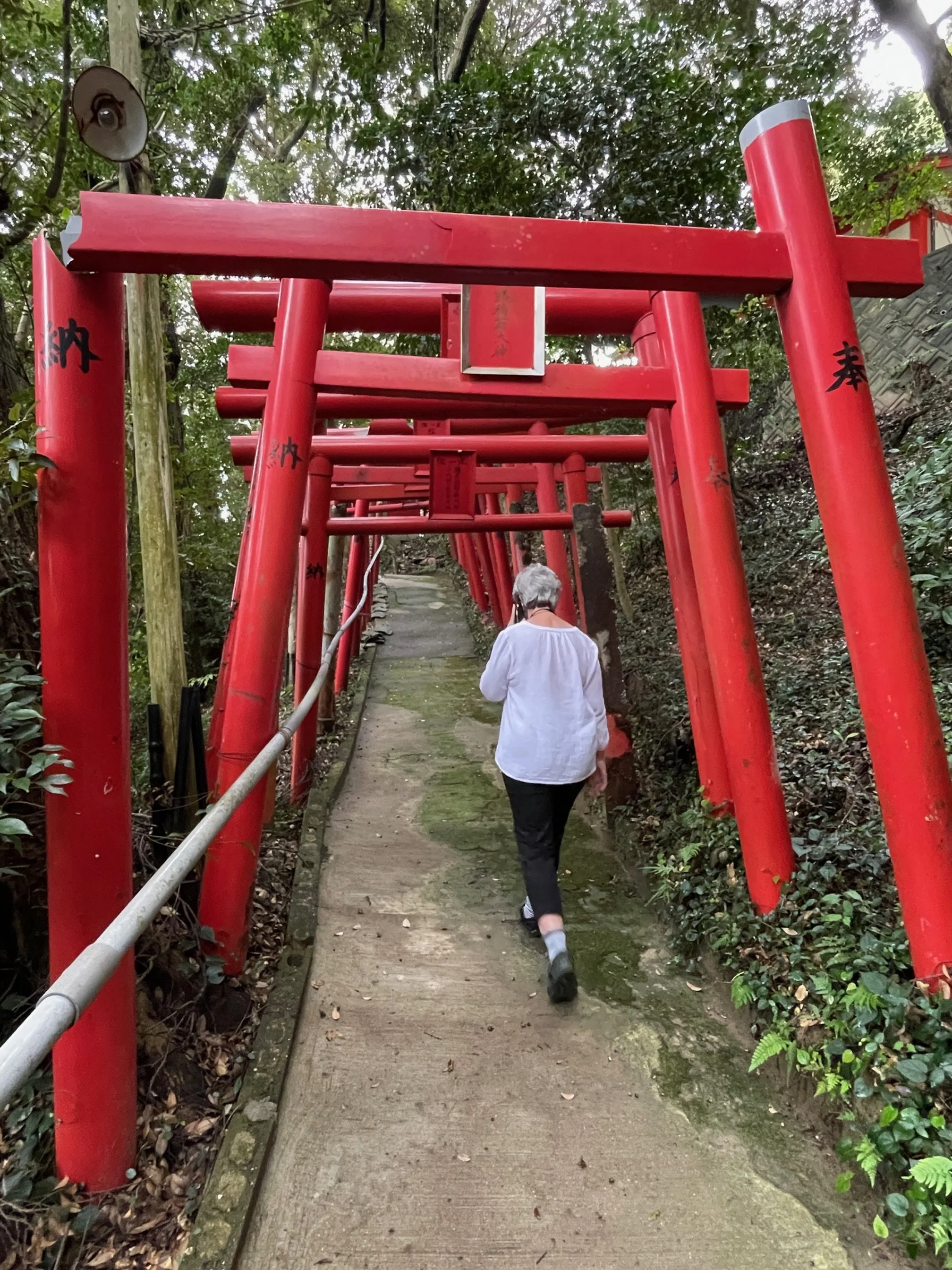 A Japan Residency
