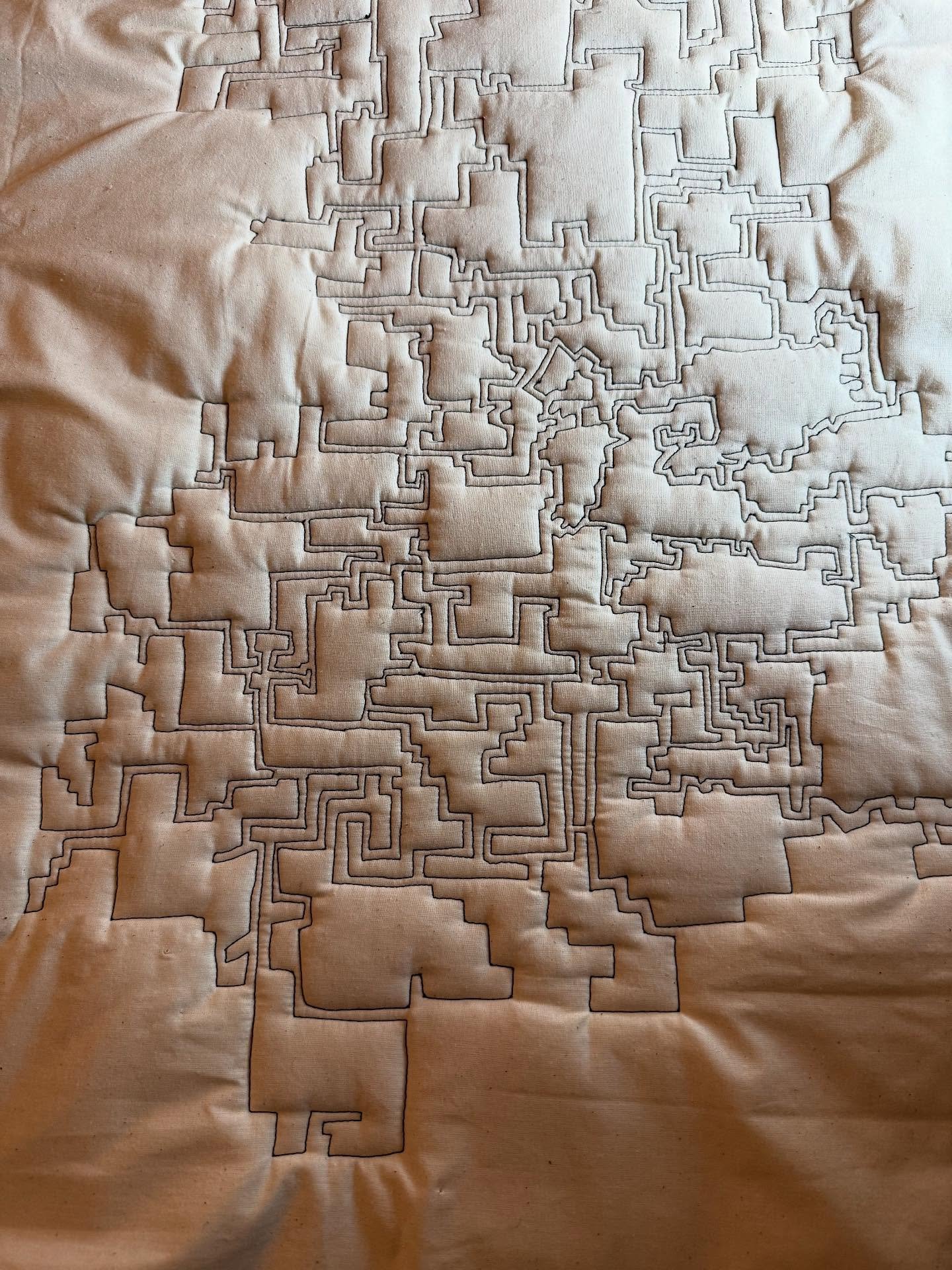 Today&rsquo;s stitching. #stitching #freemotionstitching #gerrymandered