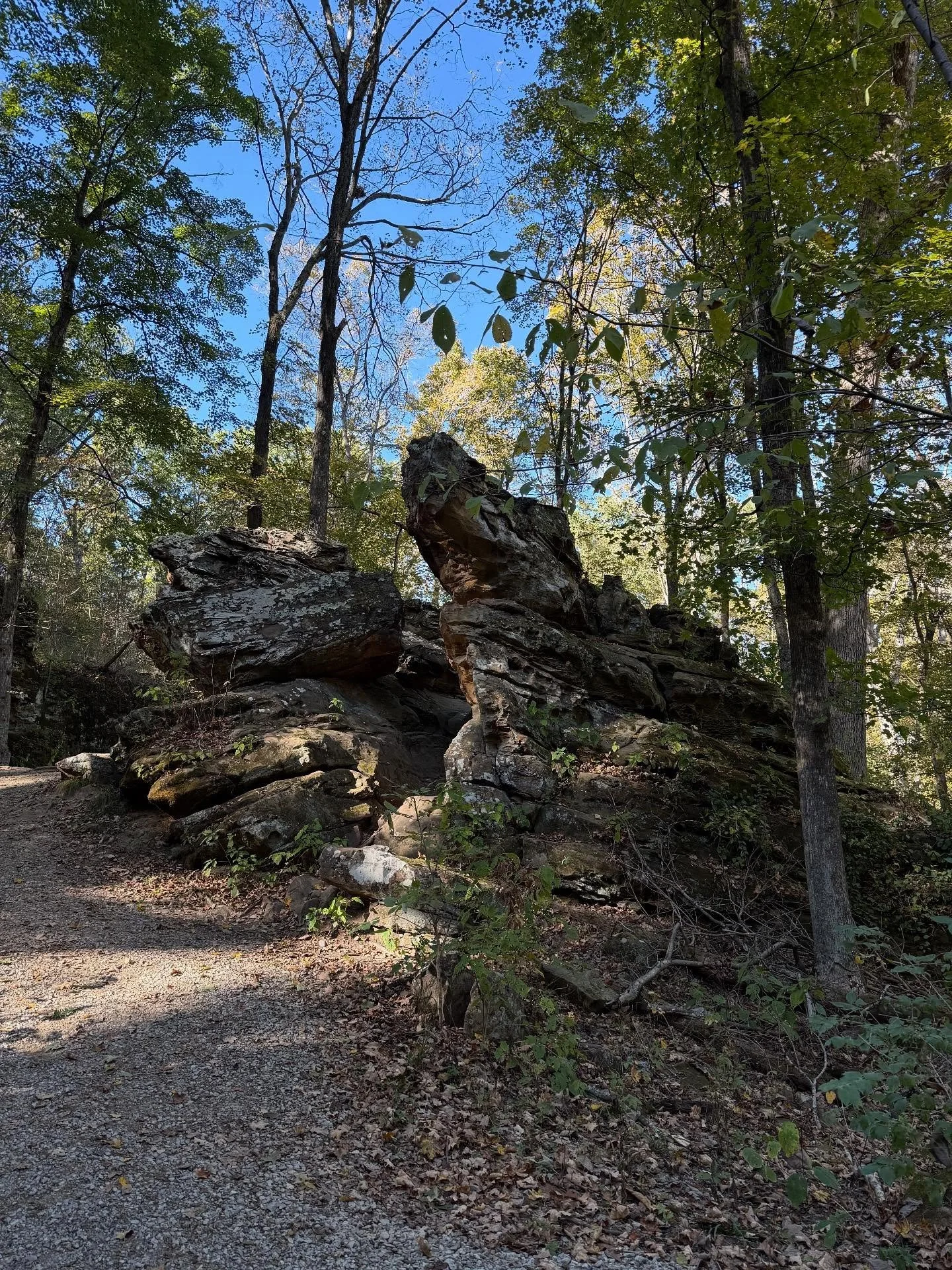 Today&rsquo;s walk. Ohhhhhh