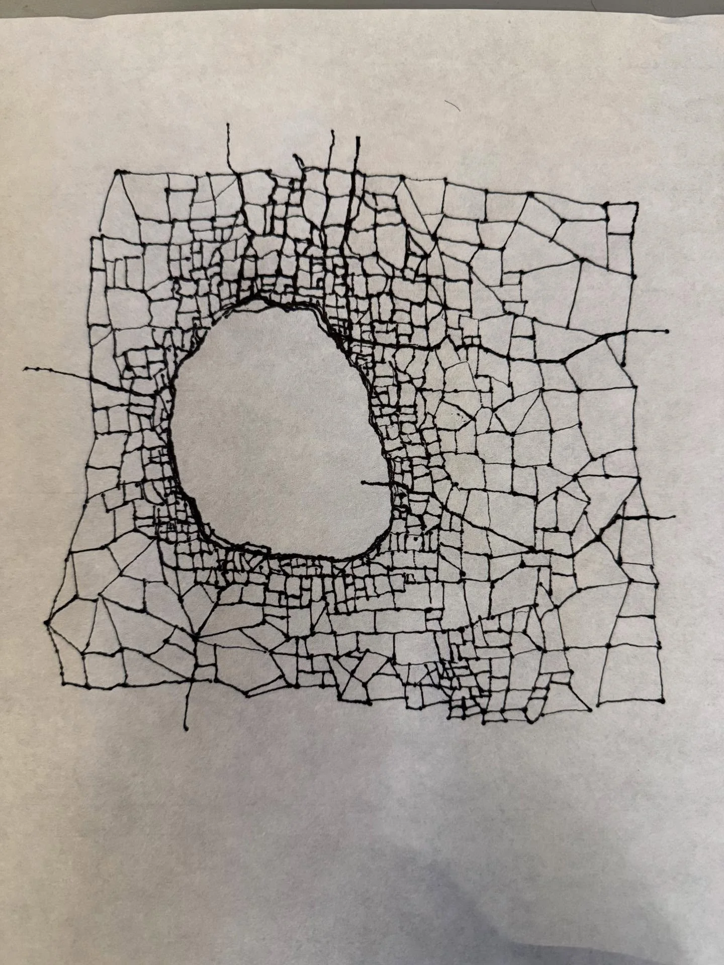 Today&rsquo;s drawing. Next step&hellip;thread #cracks #freemotionquilting #fiberart #art #drawing #inkandpaper
