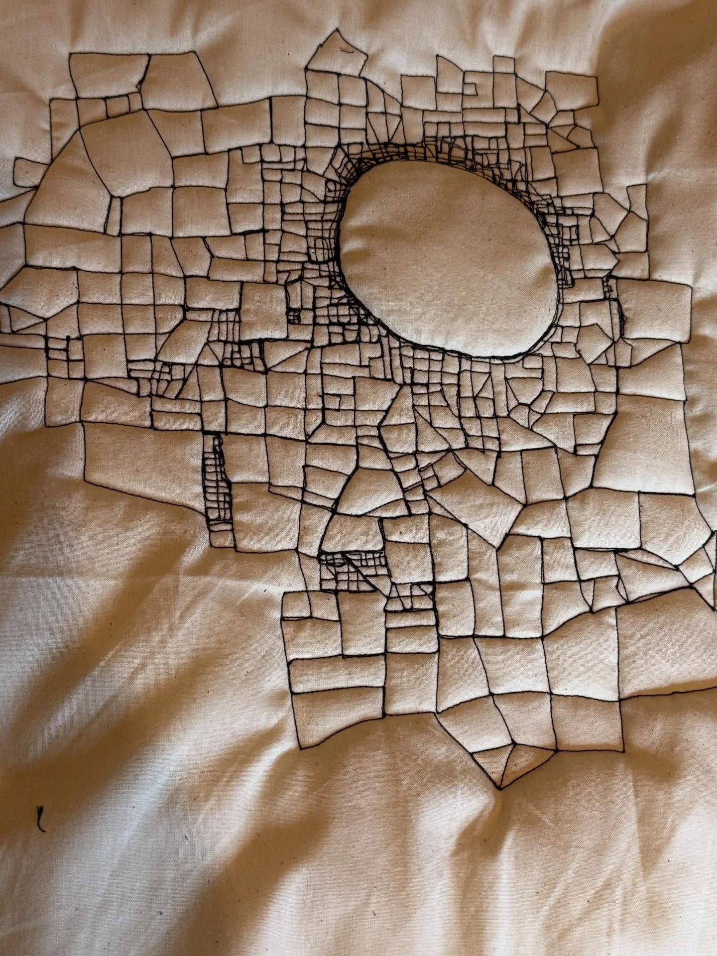 Today&rsquo;s stitching. In two directions. #stitching #cracks #freemotionquilting #fiberart #fibreart #outies