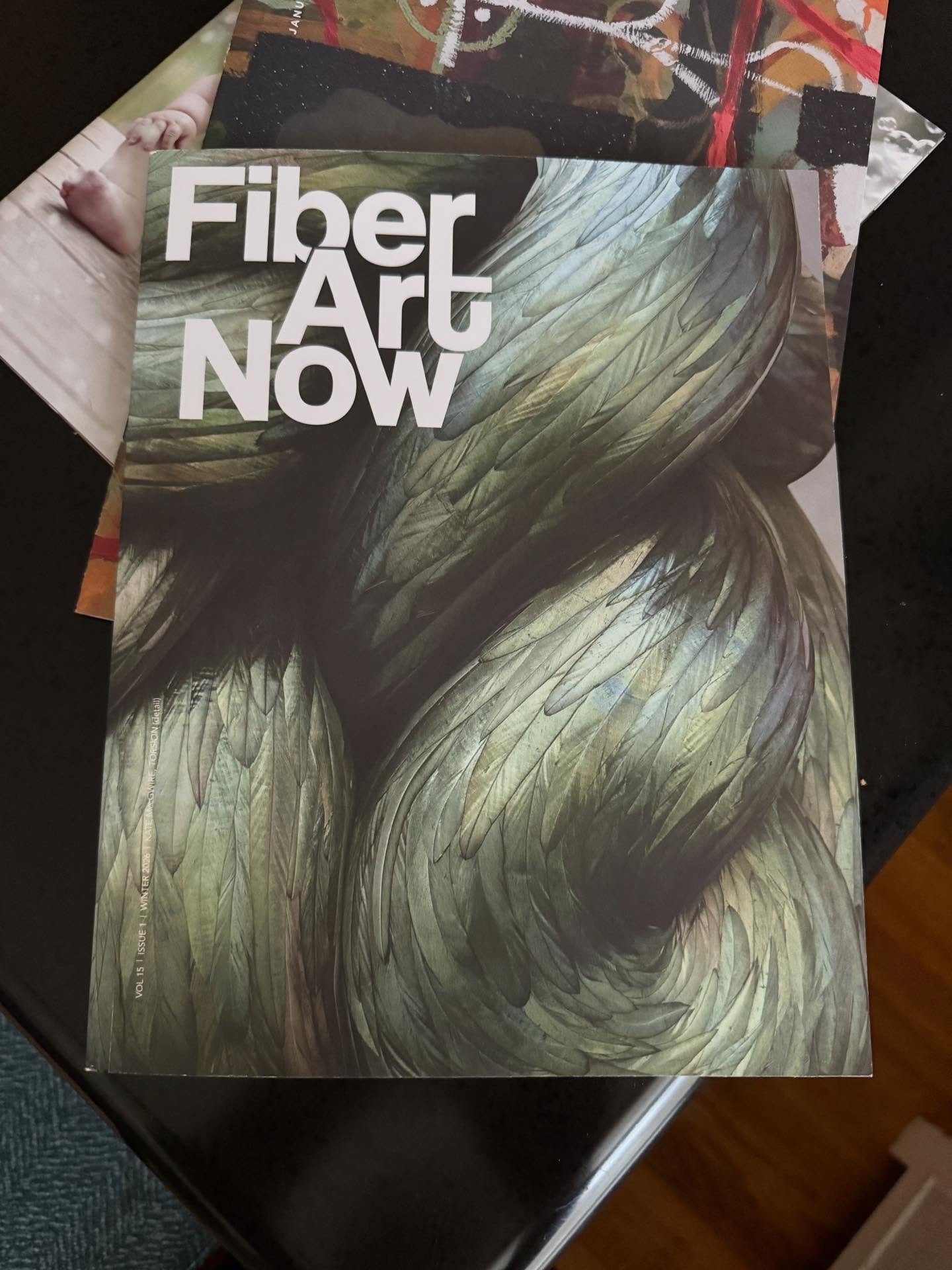 I am proud to be included in the Fiberart Now Excellence in Fiber exhibition. Check out this beautiful publication and the incredible artists that have been chosen. &ldquo;The Body Politic&rdquo; is in great company. #fiberart #thebodypolitic #collag
