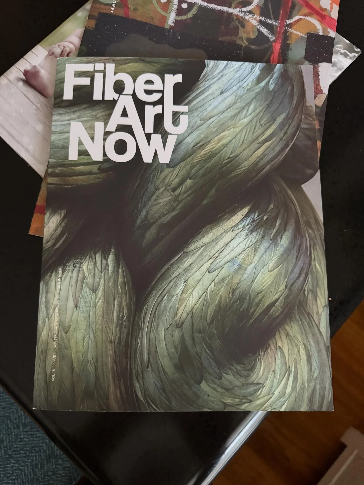 I am proud to be included in the Fiberart Now Excellence in Fiber exhibition. Check out this beautiful publication and the incredible artists that have been chosen. &ldquo;The Body Politic&rdquo; is in great company. #fiberart #thebodypolitic #collag