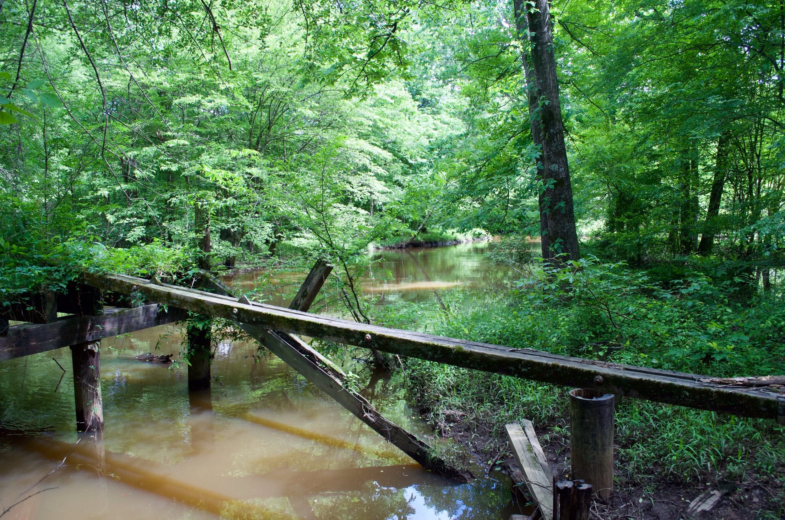 DSC_0141.jpg