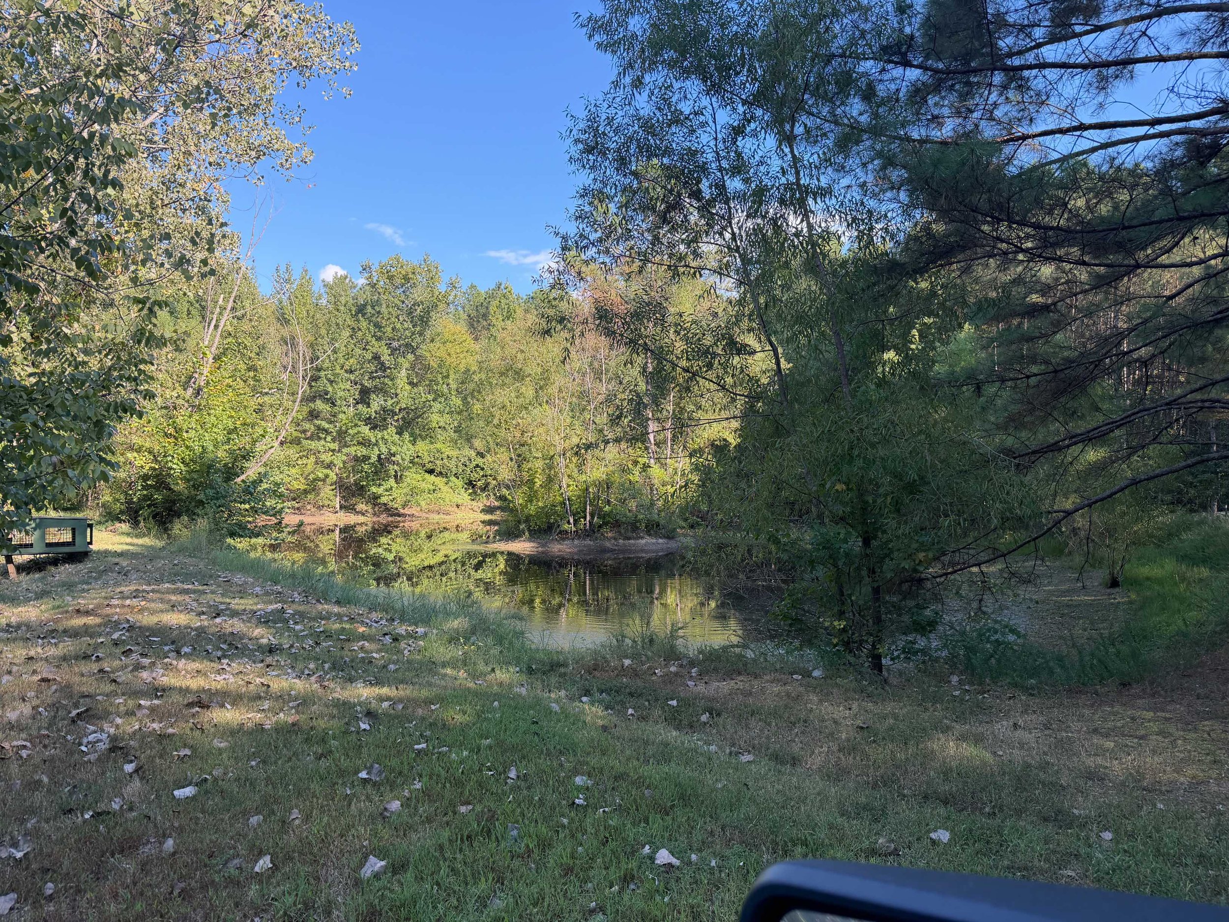 pond.jpeg