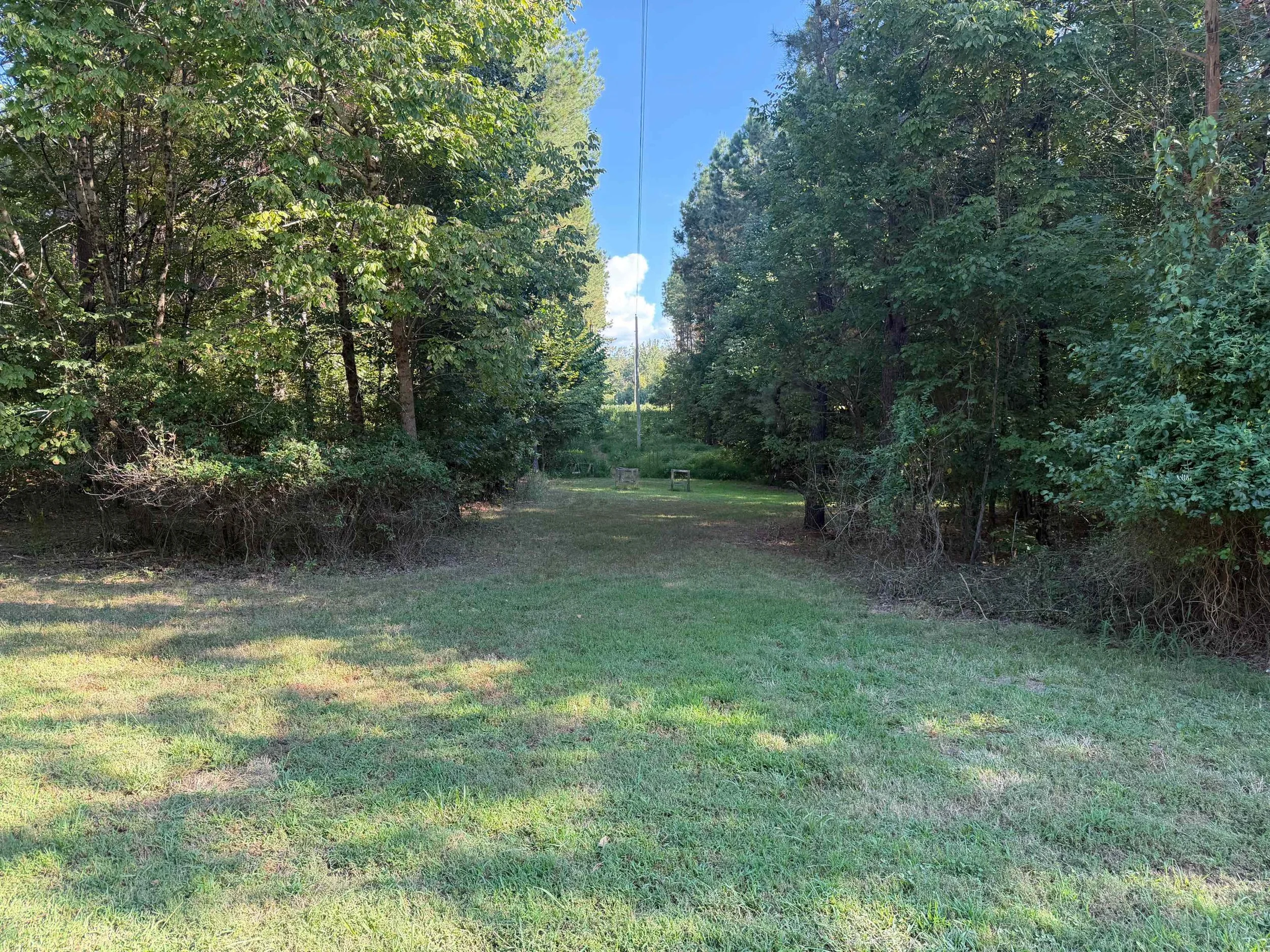 power line.jpeg