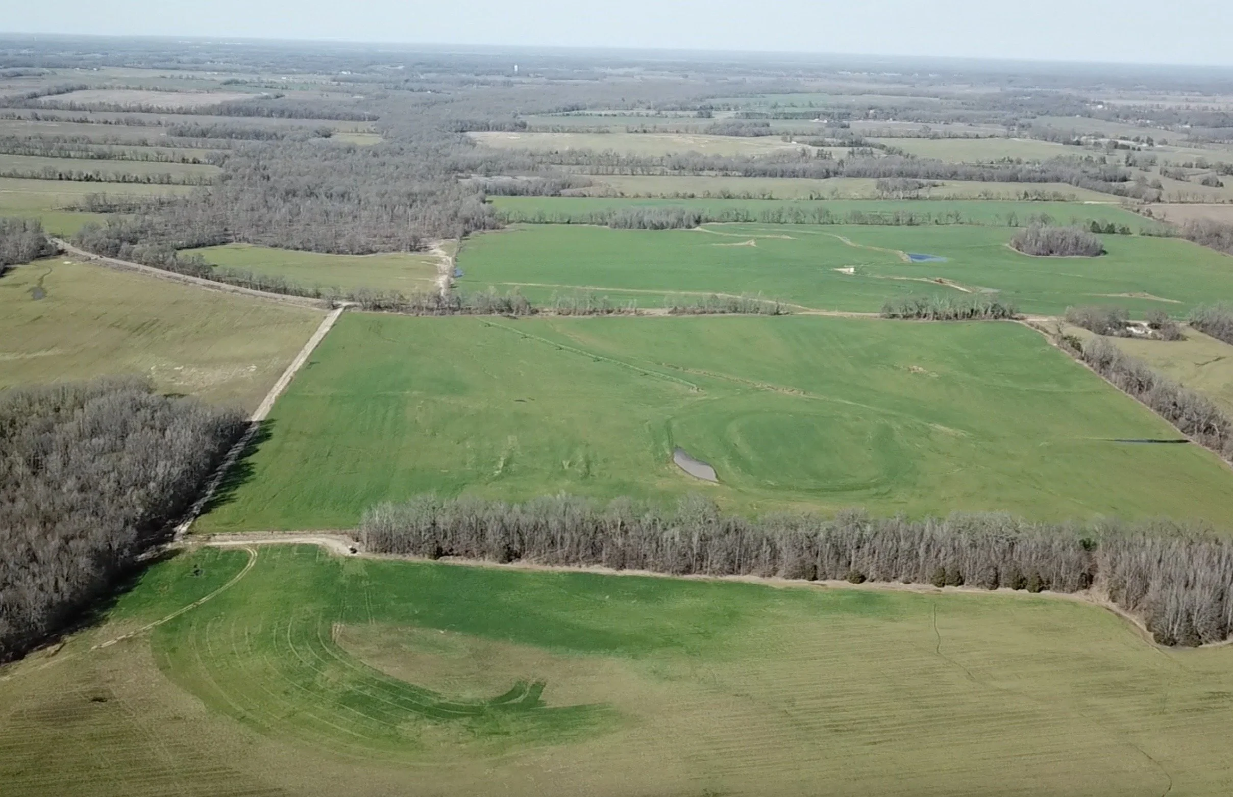 254 acres Mason, TN — Simmons Land Company