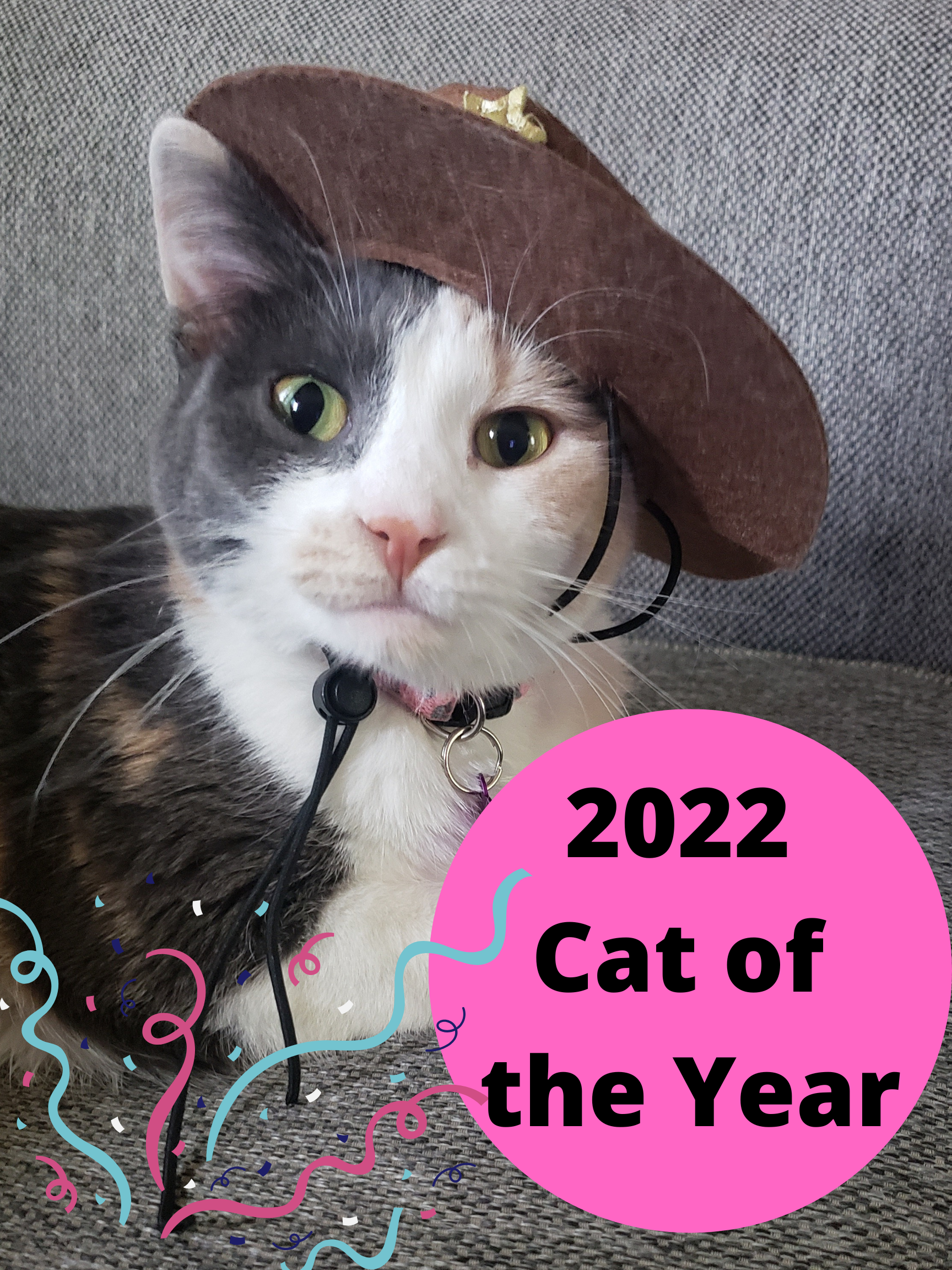2022 Cat of the Year.png
