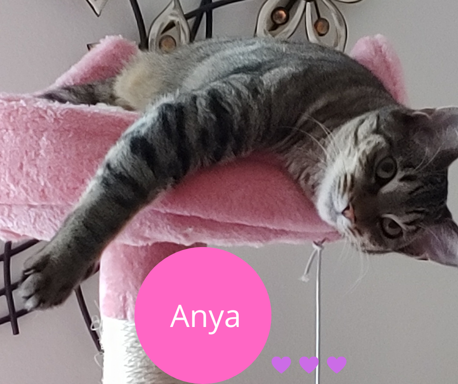 Anya.png