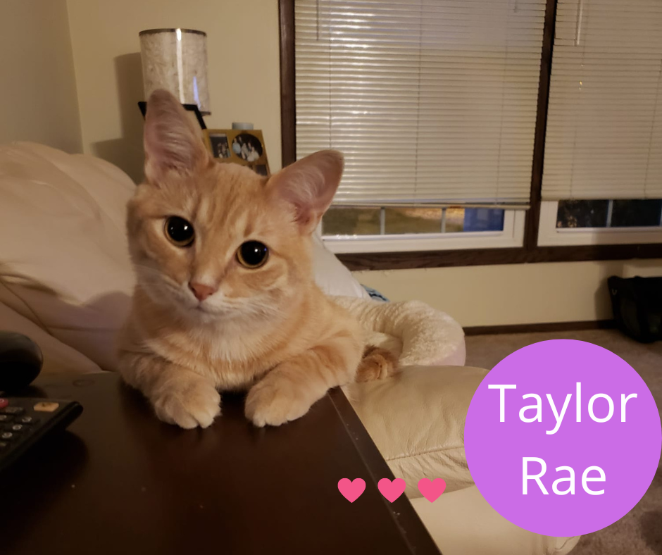 Taylor Rae.png