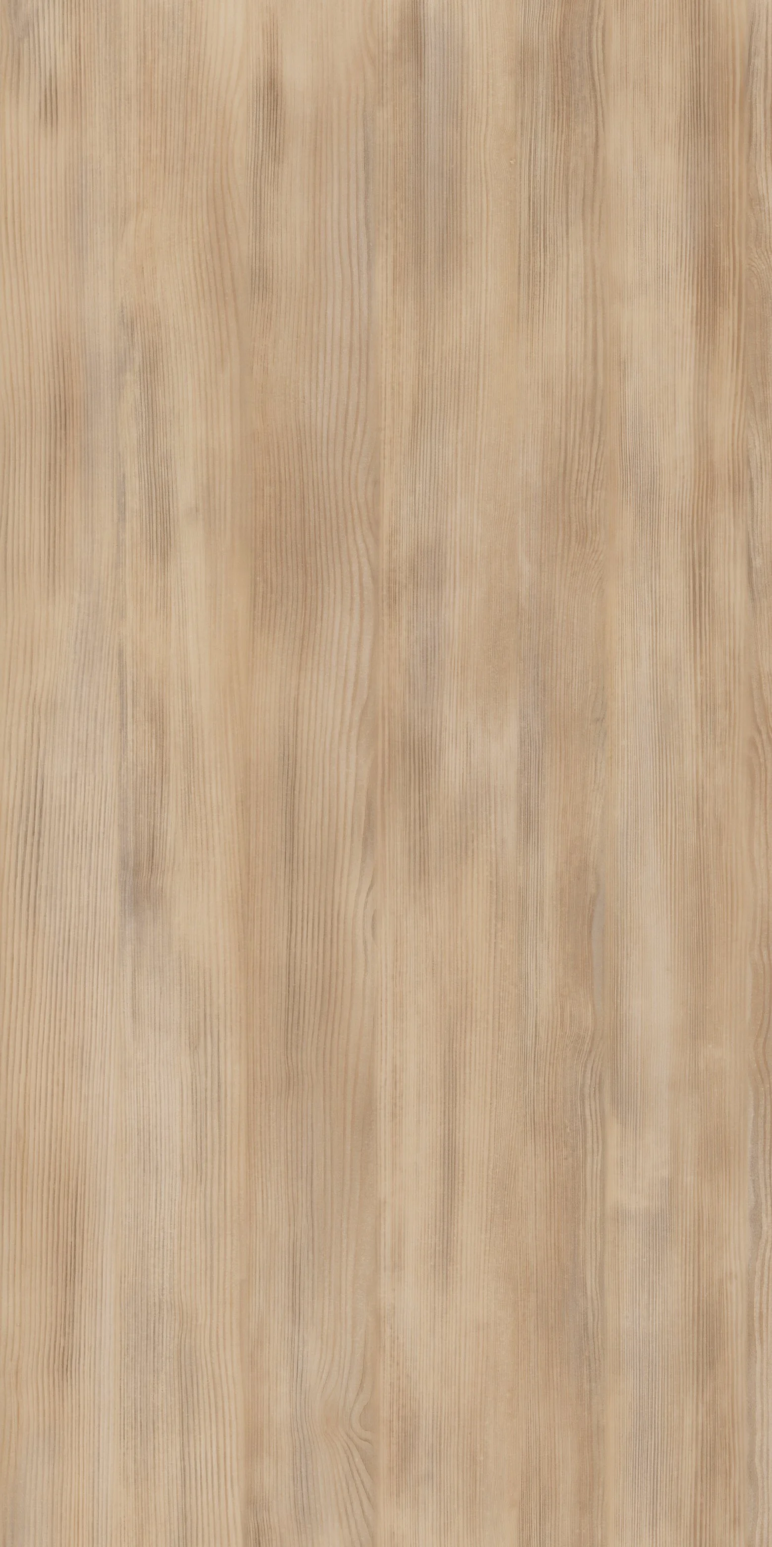 2008-09-17 13.10.40.jpg