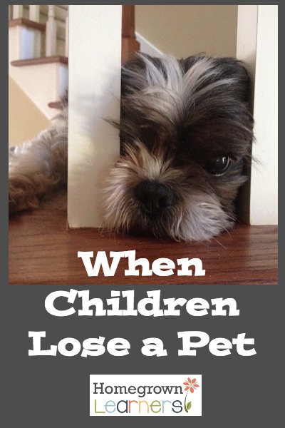 When Children Lose a Pet