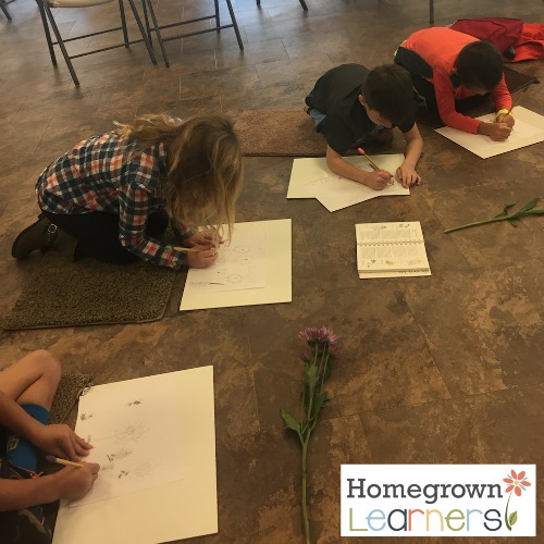 Music, Botany & Literature with Miss Rumphius