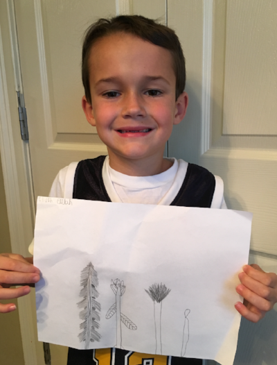 Cultivating Beauty with Children: Activities for Miss Rumphius/Flower Drawings