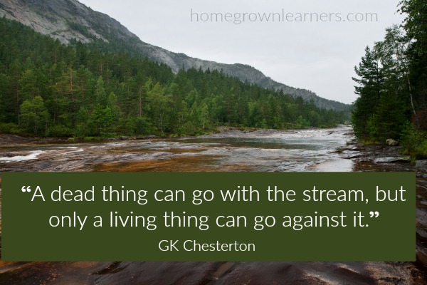 25 Reasons to Homeschool Your Children