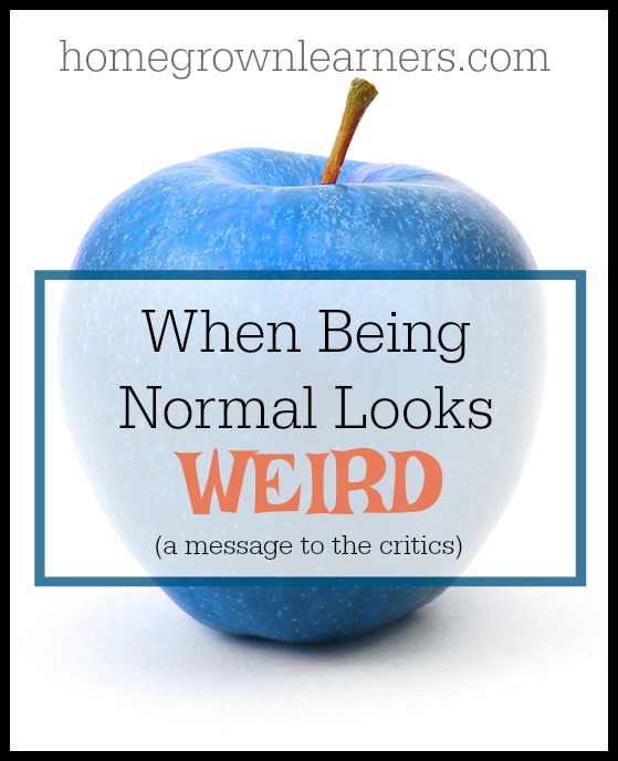When Being Normal Looks Weird: A Message to the Homeschool Critics