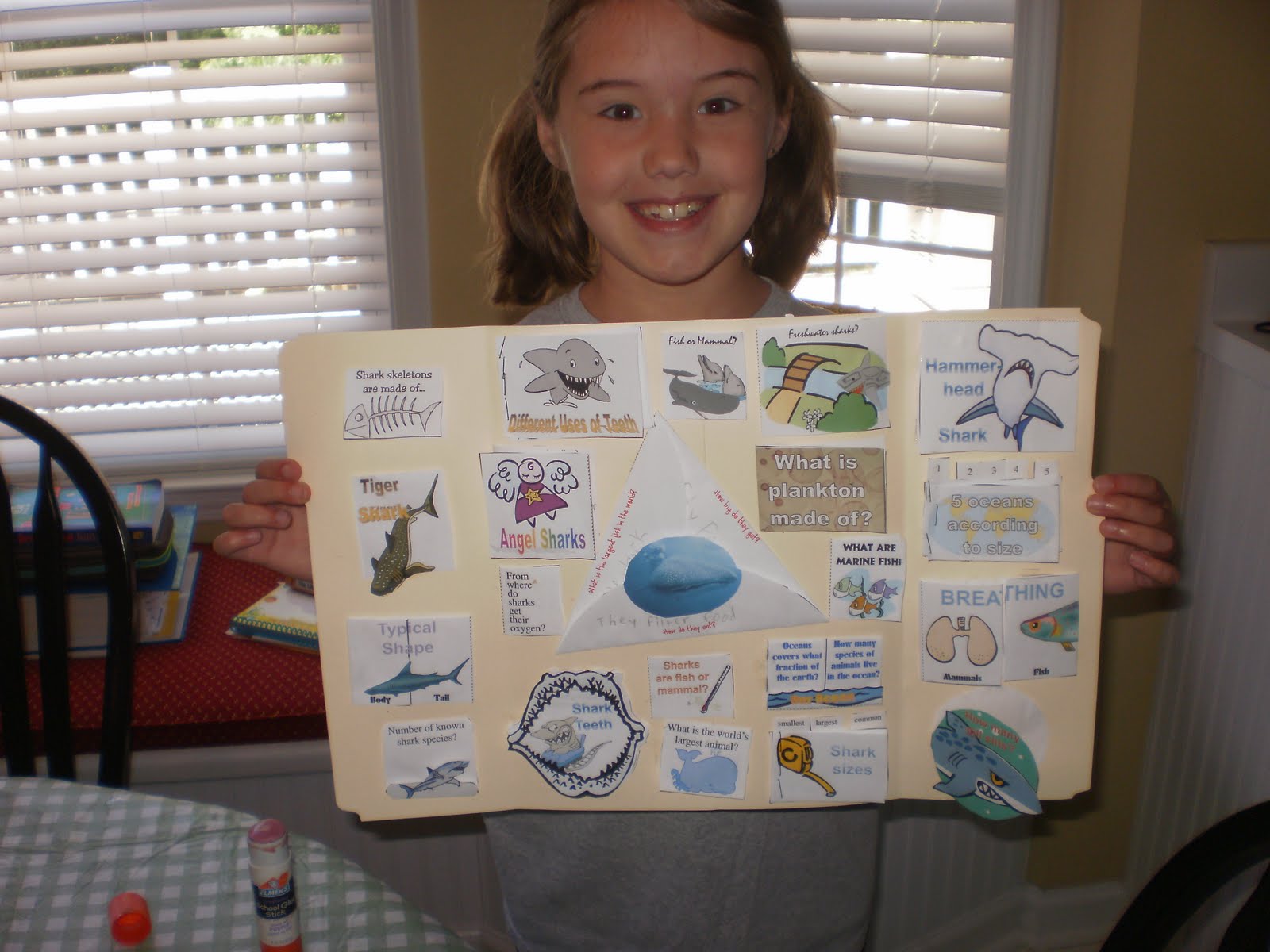 Homeschool High School: Don't Lose the Wonder