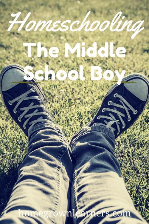 Homeschooling the Middle School Boys