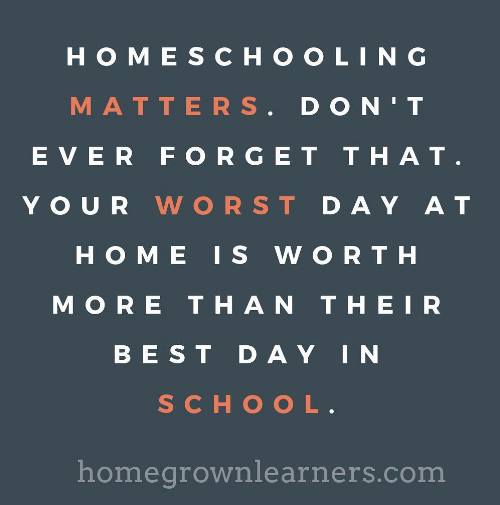 5 Homeschool Truths You Need to Remember