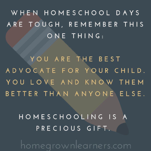 5 Homeschool Truths You Need to Remember