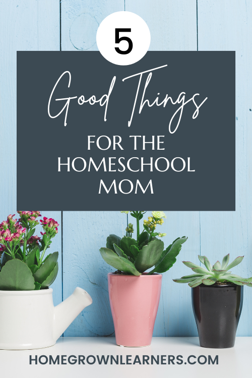 5 Good Things for the #Homeschool Mom