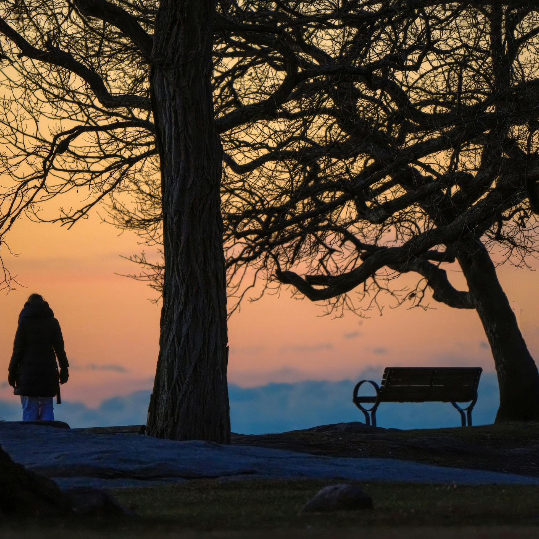 Life After Homeschool