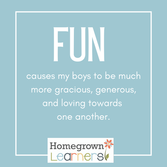 The Power of Fun in Your #Homeschool