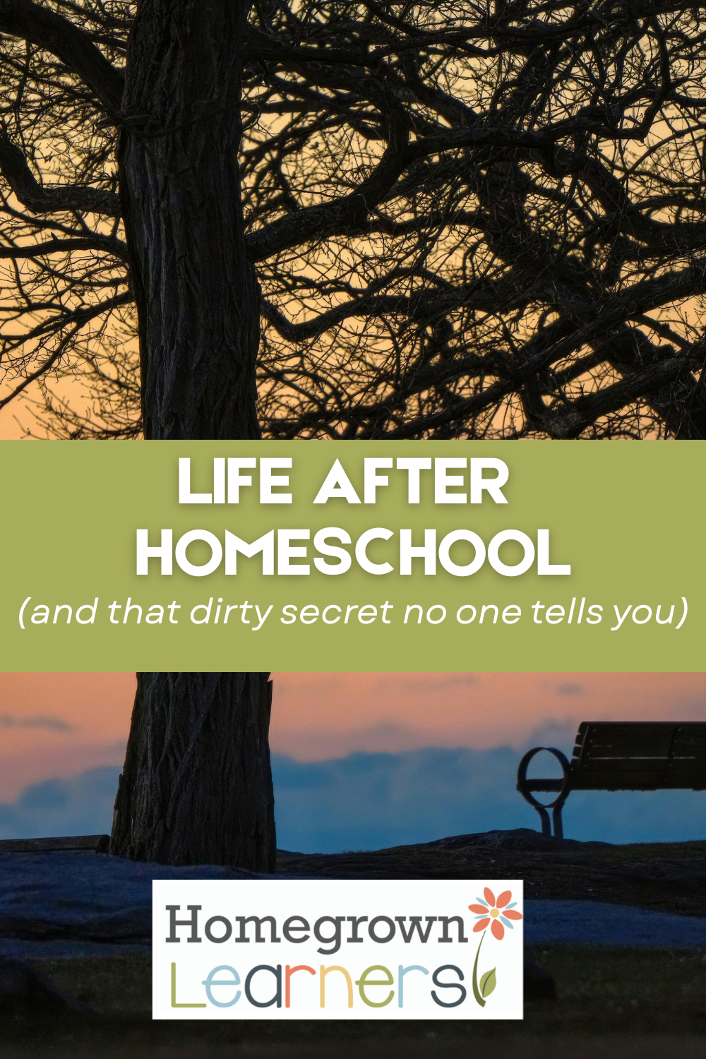Life After Homeschool