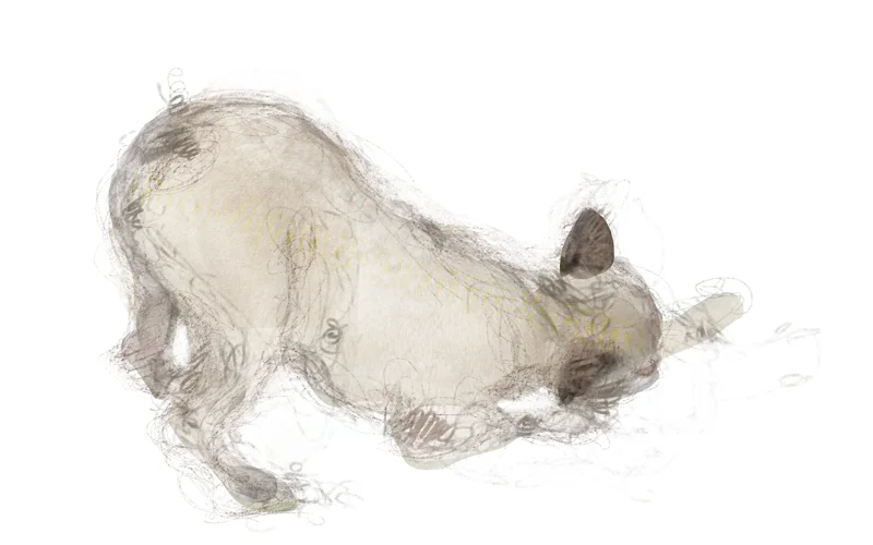 Norma The French Bulldog & Bone